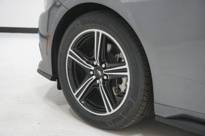 2025 Ford Mustang EcoBoost