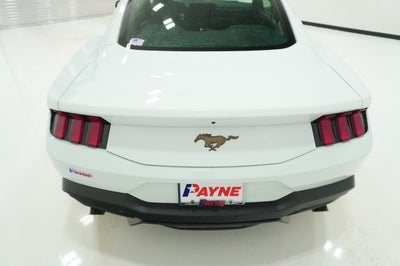 2026 Ford Mustang EcoBoost