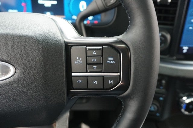 2025 Ford Super Duty F-250 SRW Platinum