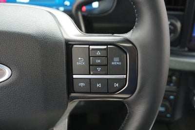 2025 Ford Super Duty F-250 SRW Platinum