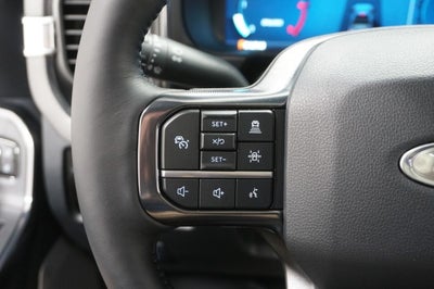 2025 Ford Super Duty F-250 SRW Platinum