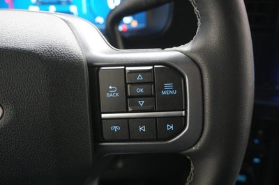 2025 Ford Super Duty F-250 SRW Black Widow