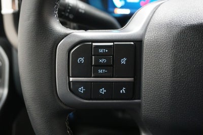 2025 Ford Super Duty F-250 SRW Black Widow