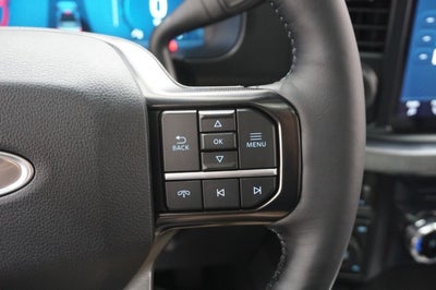 2025 Ford Super Duty F-250 SRW Platinum