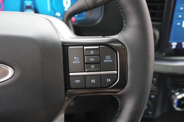 2025 Ford Super Duty F-250 SRW Platinum