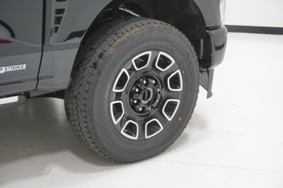 2025 Ford Super Duty F-250 SRW Platinum