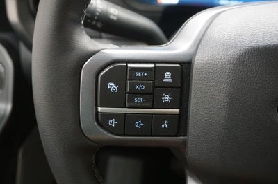 2026 Ford F-150 Black Widow
