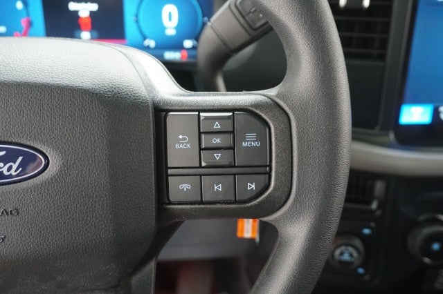 2025 Ford F-150 Black Widow