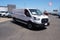 2025 Ford Transit Cargo Van Cargo Van